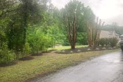 mulching-and-pruning-5
