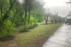 mulching-and-pruning-6
