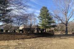 Mulching-1