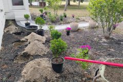 Planting-and-Landscape-Cleanup-1