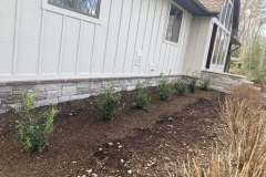 Planting-Project-Leonardtown-MD-1