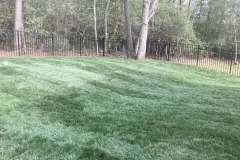 grading-top-soil-4