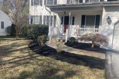 Collentro-Mulch-1