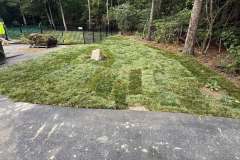 Sod-and-River-Jack-1