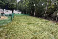 Sod-and-River-Jack-4