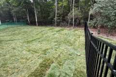 Sod-and-River-Jack-5