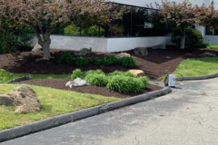 Commercial Landscaping St Mary's