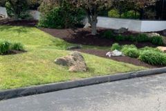 Landscaping in St Mary's