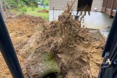 Stump Removal St Mary's