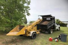 Pruning Services