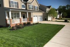 Turf Management