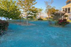 St George's Island Hydroseeding After 2