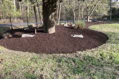 mulch-dameron-md-6