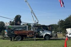 Calvert-Tree-Service
