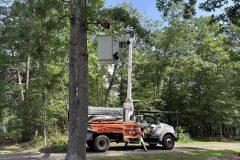 So-MD-Tree-Service