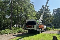 St-Marys-Tree-Service