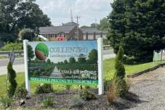 Growing-Prince-Frederick-Nursery-2