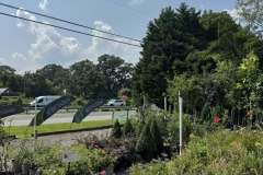 Growing-Prince-Frederick-Nursery-5