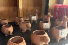 Growing-Prince-Frederick-Nursery-8