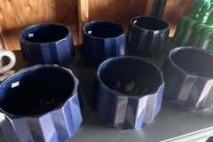 Growing-Prince-Frederick-Nursery-9