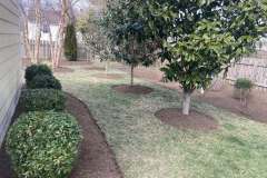 Cleanup-Edging-Solomons-5