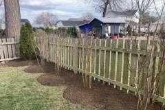 Cleanup-Edging-Solomons-6